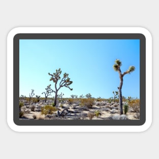 Joshua Tree National Park California Sticker